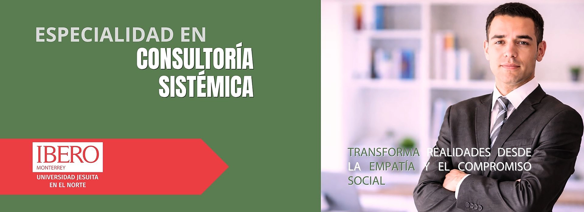 Especialidad en Consultoría sistémica